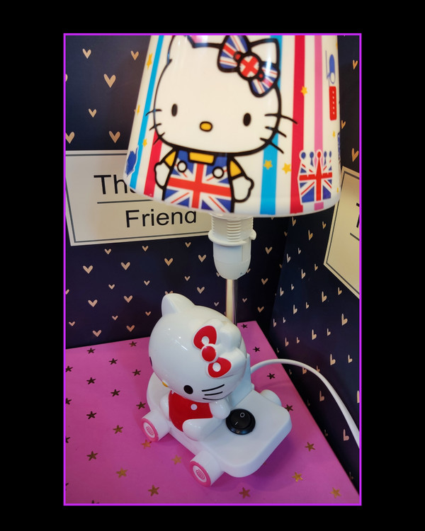 دارای دکمه روشن و خاموش