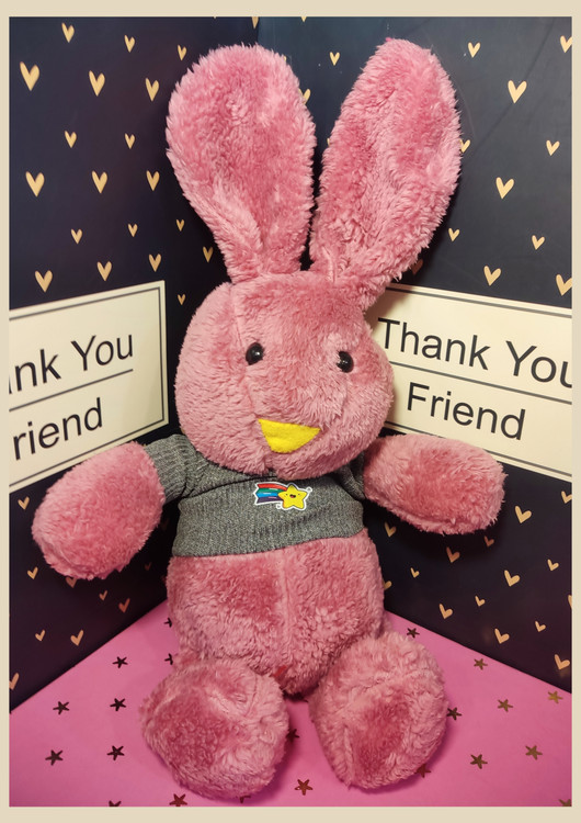 خرگوش صورتی پر رنگ ۳۵ سانت