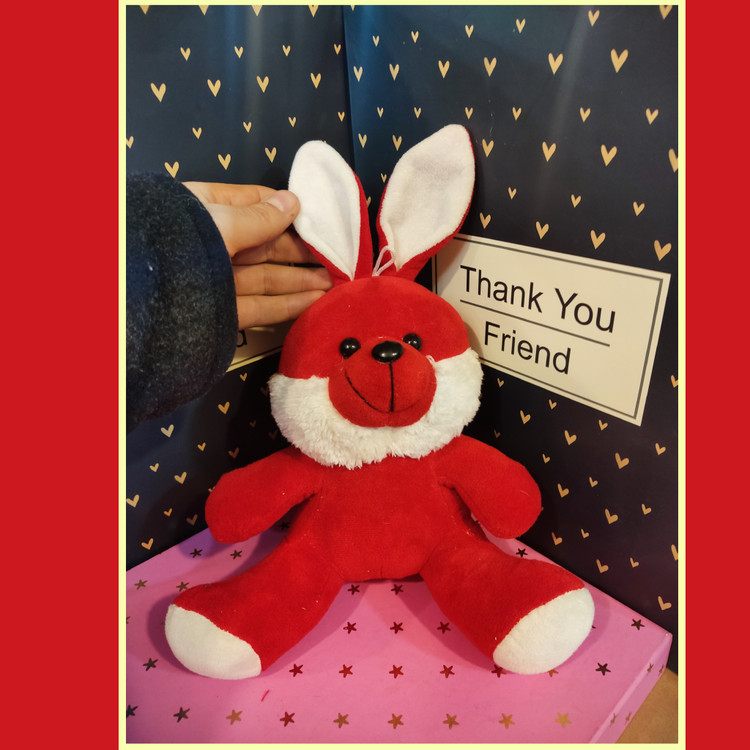 خرگوش قرمز و سفید زیبا و ولنتاینی